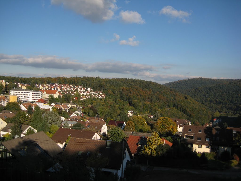 Blick auf Neuenbürg by christoph scharmann