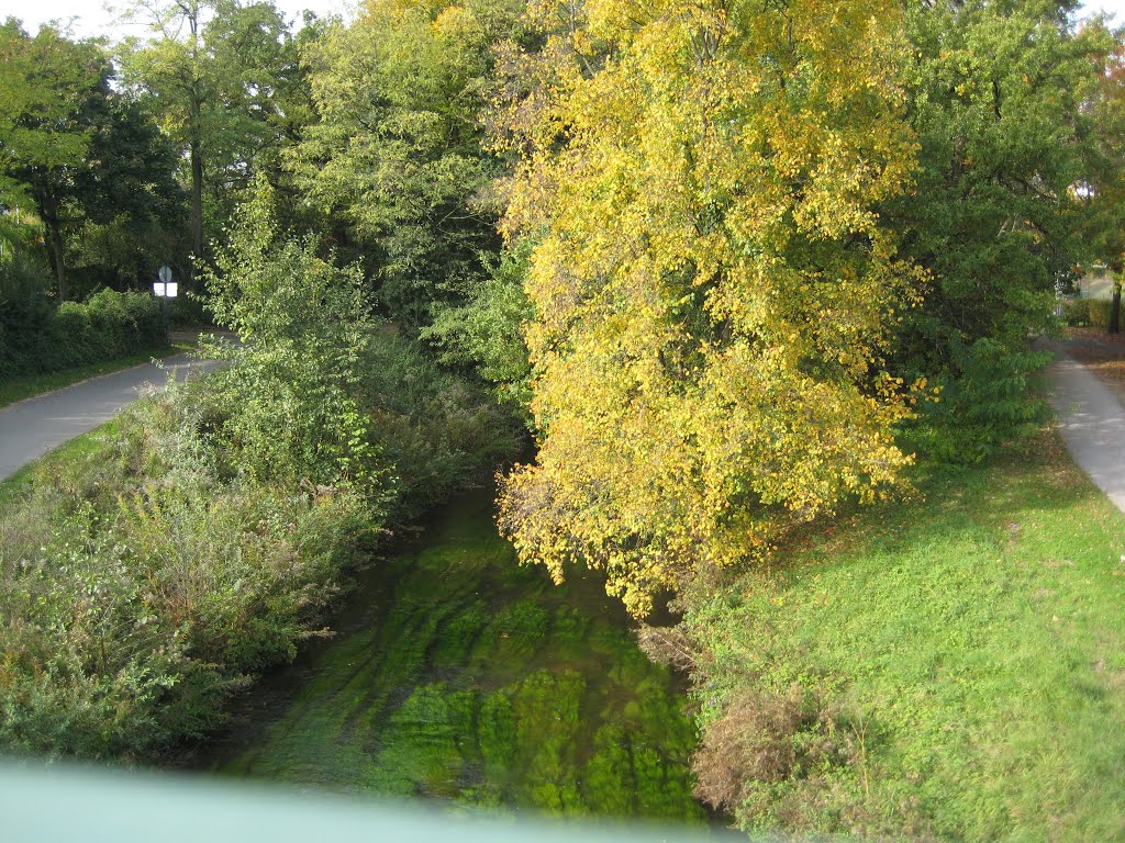 Grüner Fluss by christoph scharmann