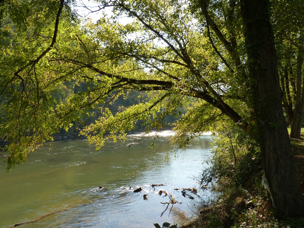 Staunton River - Altavista, VA by '- '