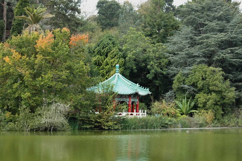 Golden Gate Park, San Francisco, CA, USA by Luis Alberto Benito