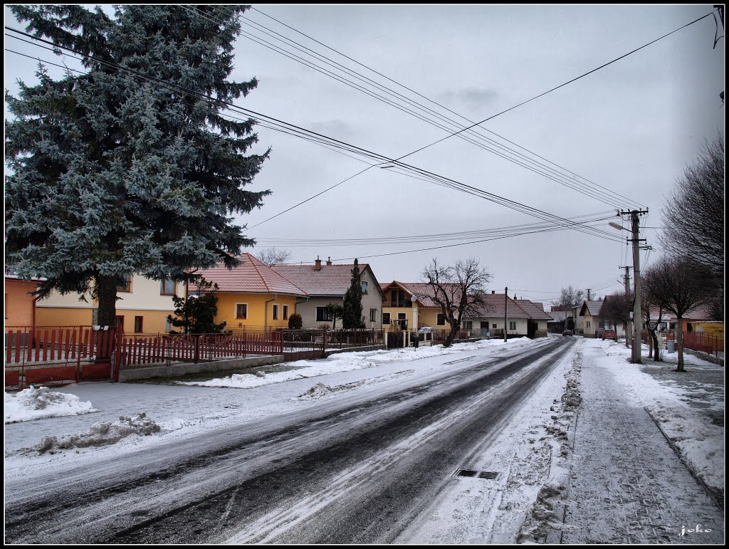 TURČIANSKÉ TEPLICE - Družstevná ul. by < JOKO >