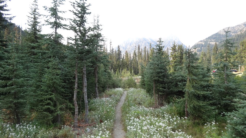 Pacific Crest National Scenic Trail, Rainy Pass, WA by chfstew