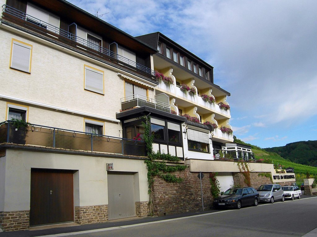 Hotel Am Rosenhügel Cochem (Mosel) by berndlube