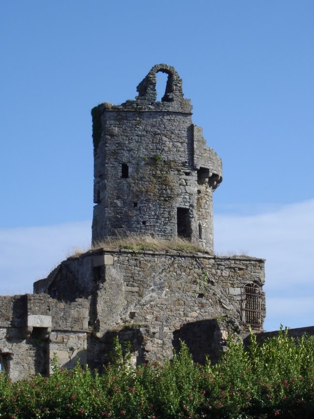 Fethard Castle, Fethard on Sea, Co Wexford by Peter Meadows