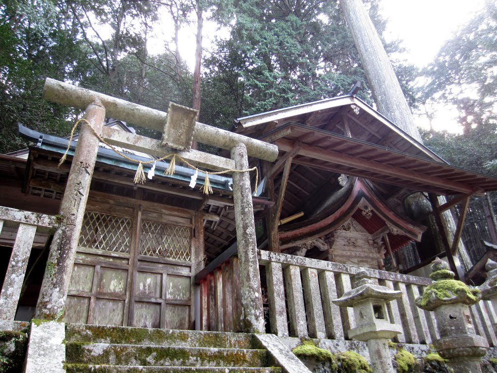 吉野郡川上村東川・烏川神社本殿 by taka_neya