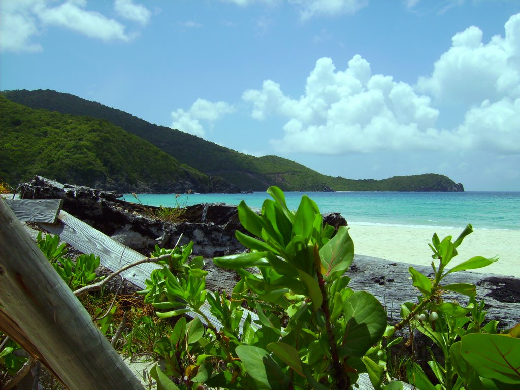 Josiah's Beach by Toni Kelemen