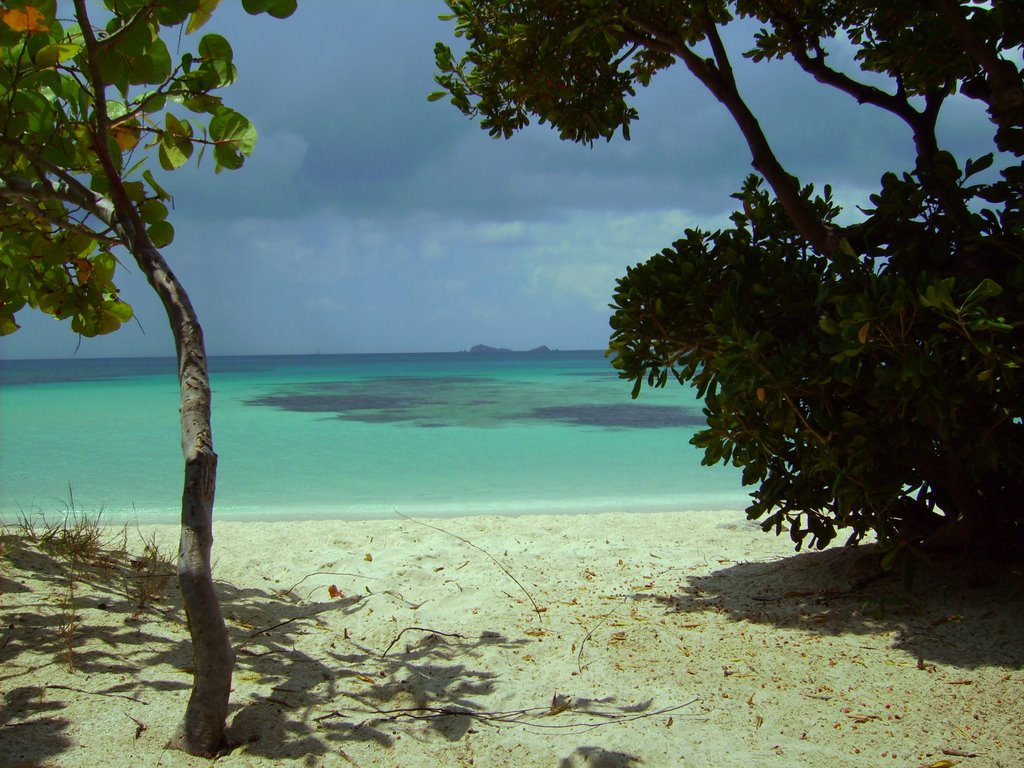 Savannah Beach on Virgin Gorda by Toni Kelemen