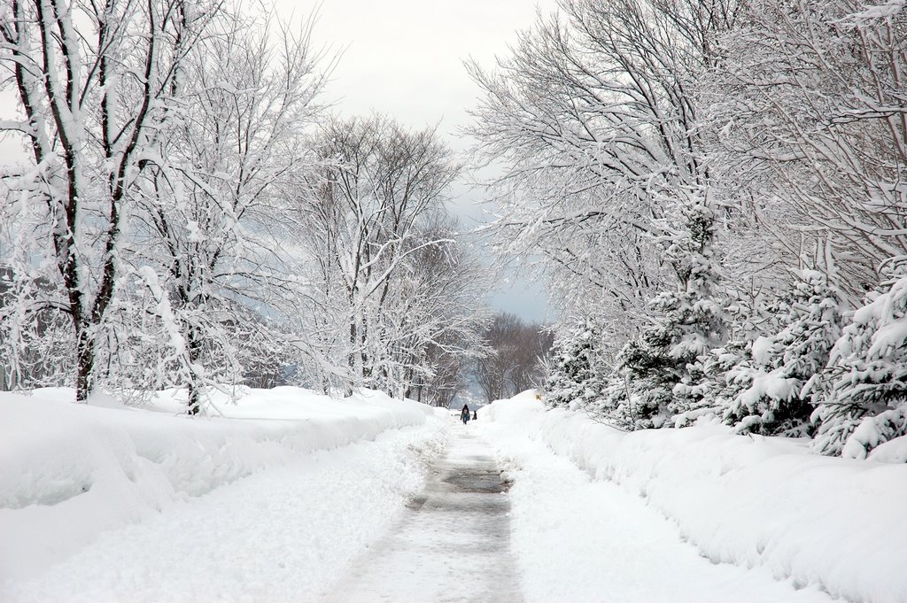 Université Laval sous la neige by manuamador