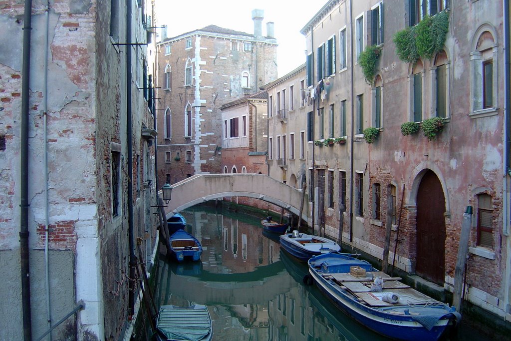 Venice in Morning by Gaurav Dhup