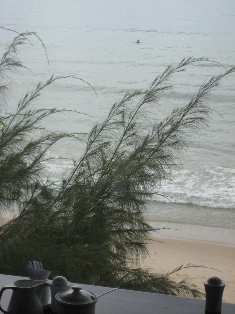 Khu phố 1, Hàm Tiến, tp. Phan Thiết, Bình Thuận, Vietnam by Natalya Gaslova