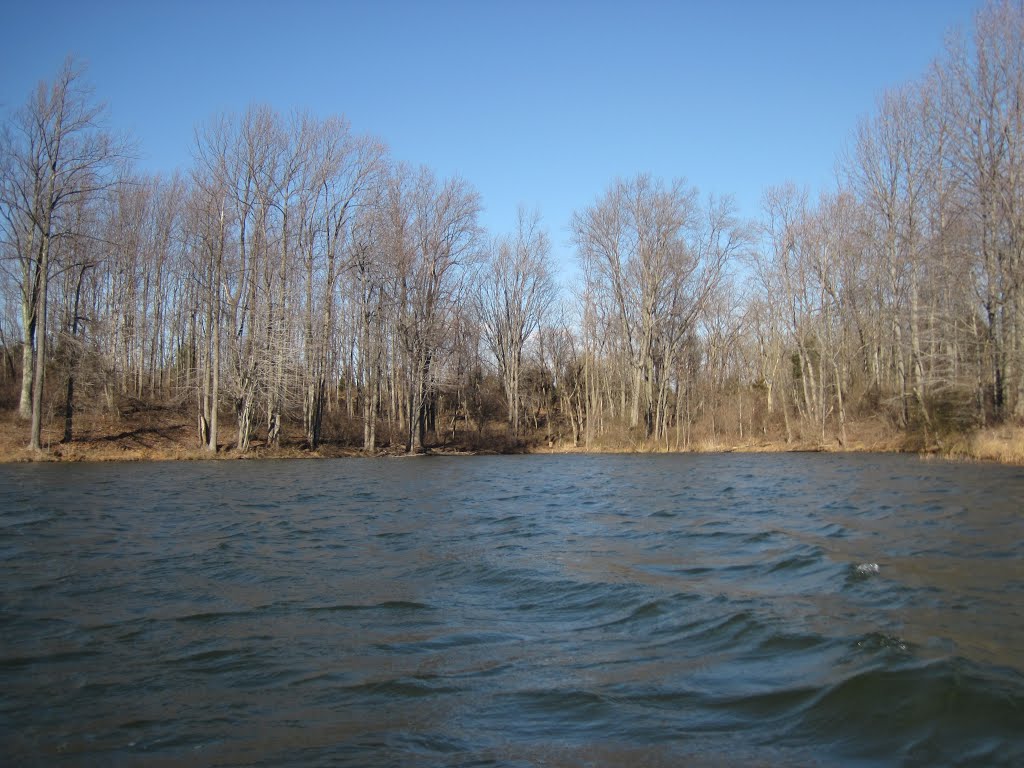 A momentary refuge from the wind by midatlanticriverrat