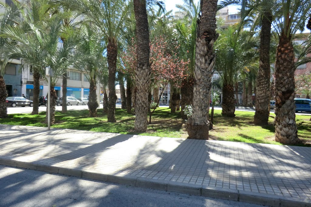 Plaza de Benidorm by Fotografiando