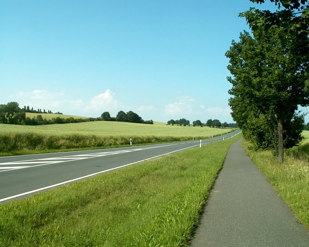 Radweg nach Hirschfelde/Hiršov by jarda-nb