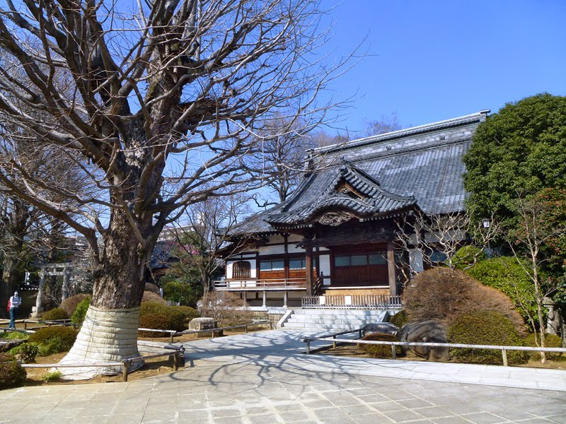 Kouenji temple (高円寺) by posh208