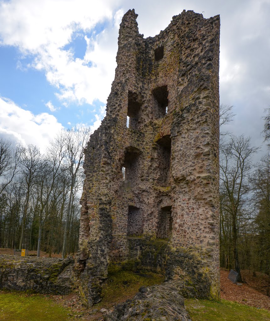 Burgruine Dagstuhl by wollefoto