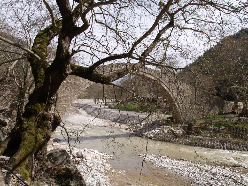 Το πέτρινο γεφύρι στην Πύλη Τρικάλων (Pili Trikalon) by Odysseas Efthimiou