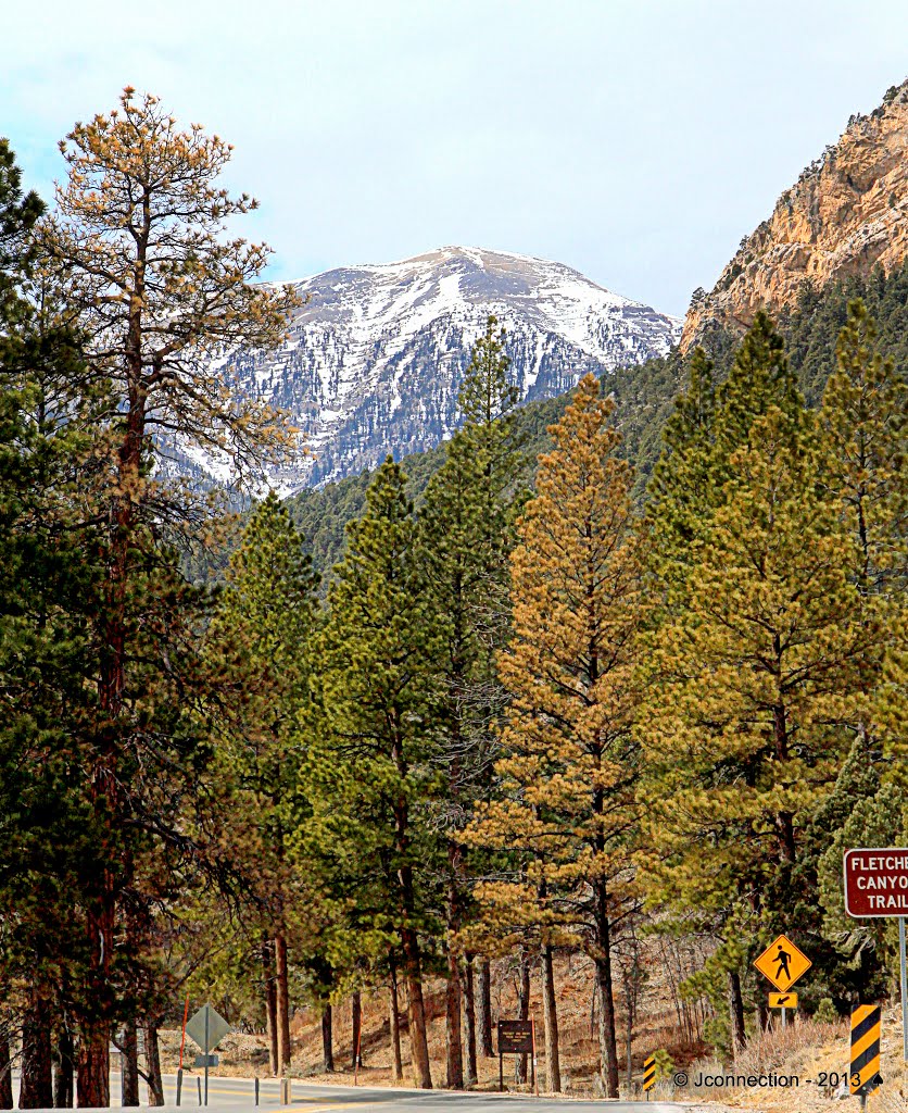 Hwy 157 at Fletcher Canyon Trail • Mt. Charleston, NV by Easy Street Images ©