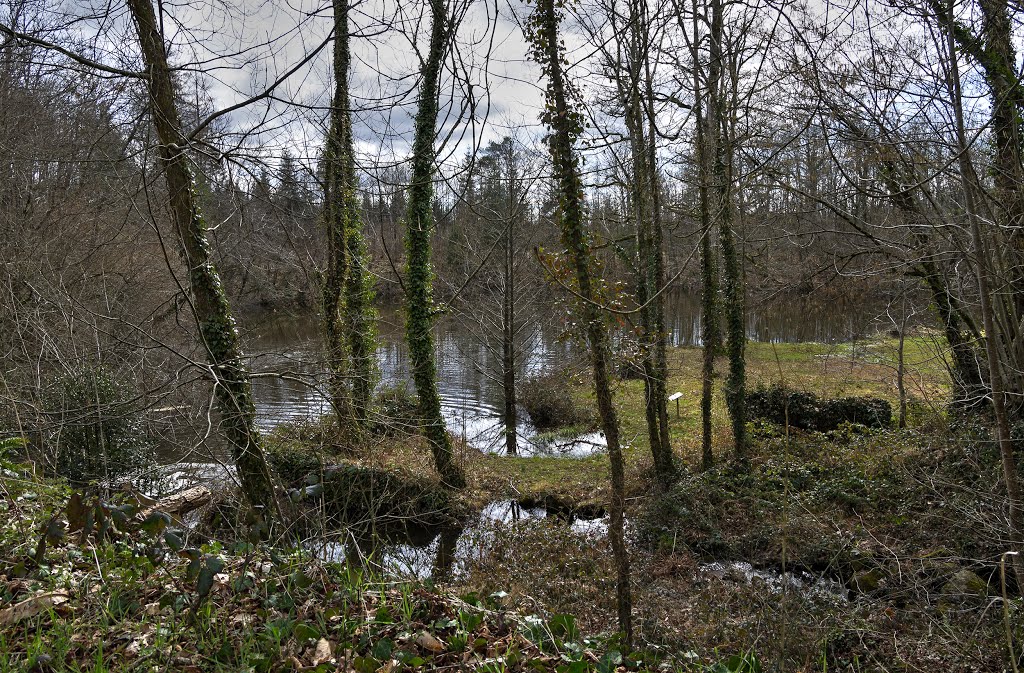 Standing on top of an old wall at the other end of the lake - Mar 2103 by Mike Stuckey