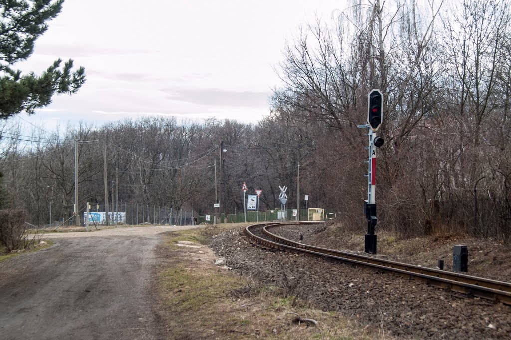 Vonalbejárás: budapesti Gyermekvasút / Childrens Railway by hatja-budapest