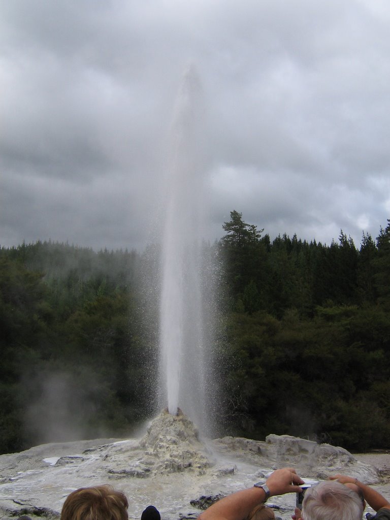 Lady Knox Geysir by 08/15