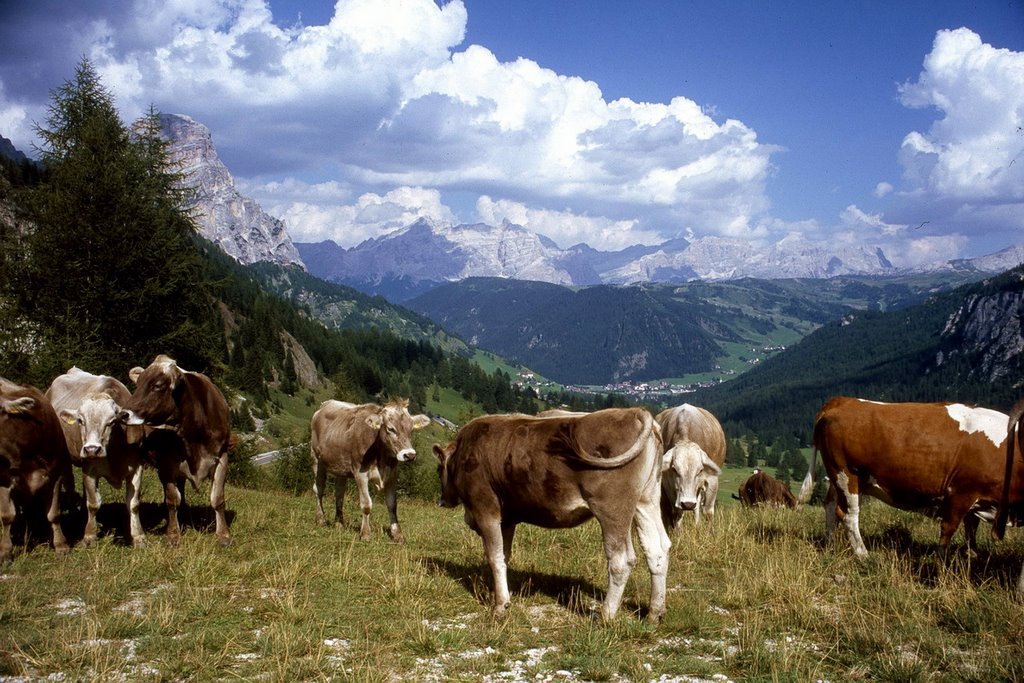 Grödner Joch - Corvara by KH.Wegwitz