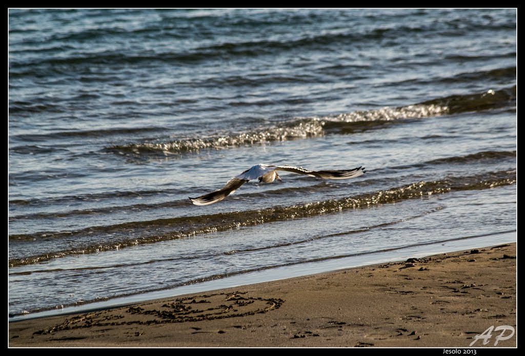 La spiaggia in inverno by kattivo87