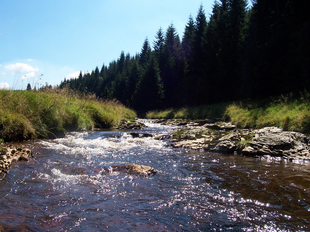 Schwarzwasser oberhalb von Potucky by u.h.