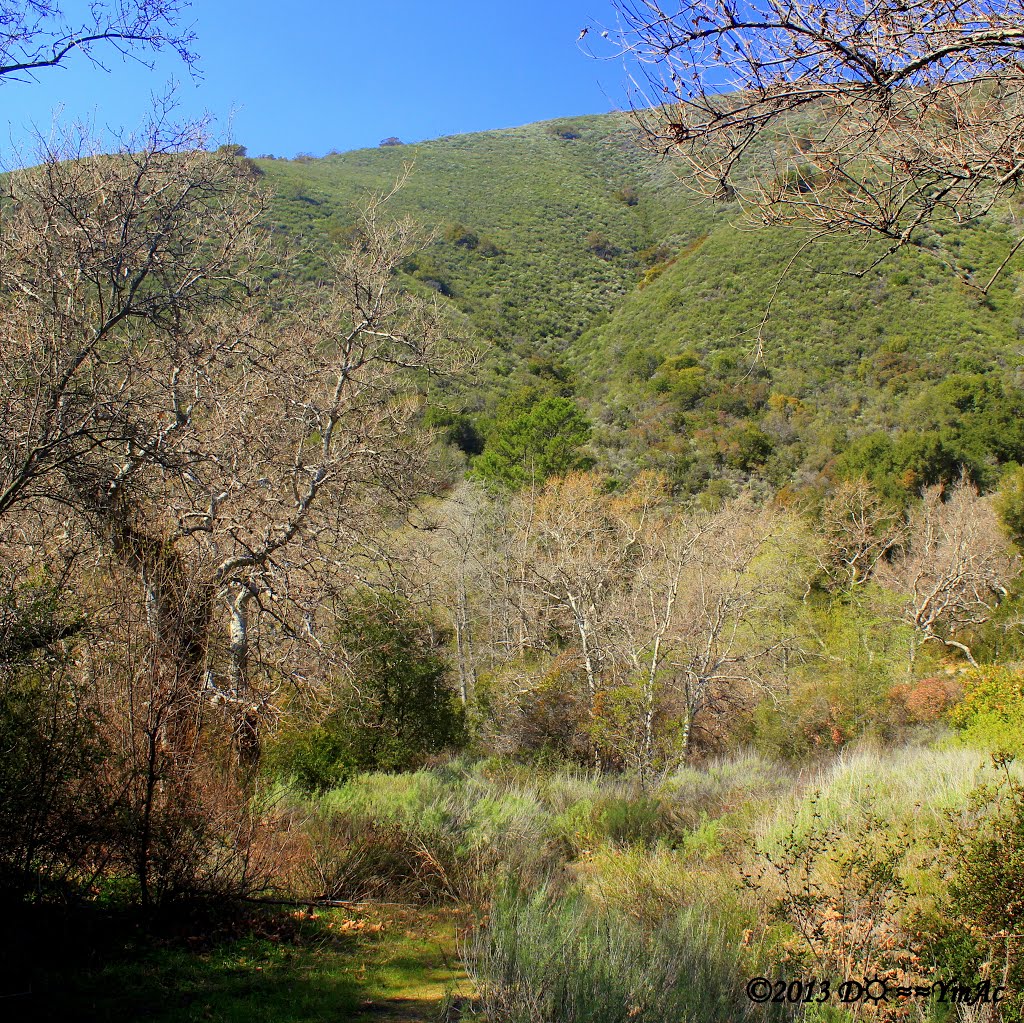 Trail Up the Side Canyon by D☼≈≈YmAc