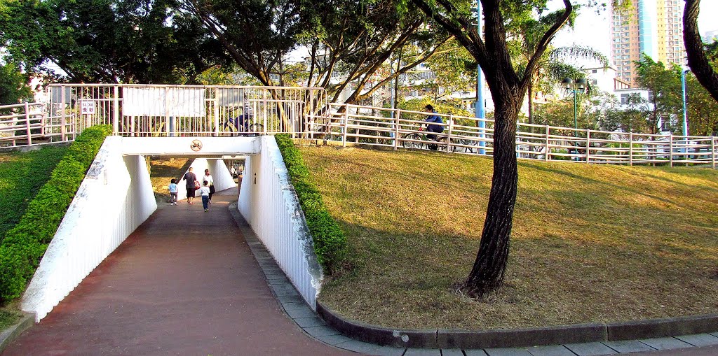 香港 九龍城 賈炳達道單車公園 Carpenter Road Cycling Park,Kowloon City,Hong Kong by Percy Tai  漆園童