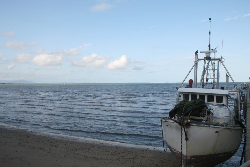 Cardwell, QLD - Cardwell Jetty by David Dreher