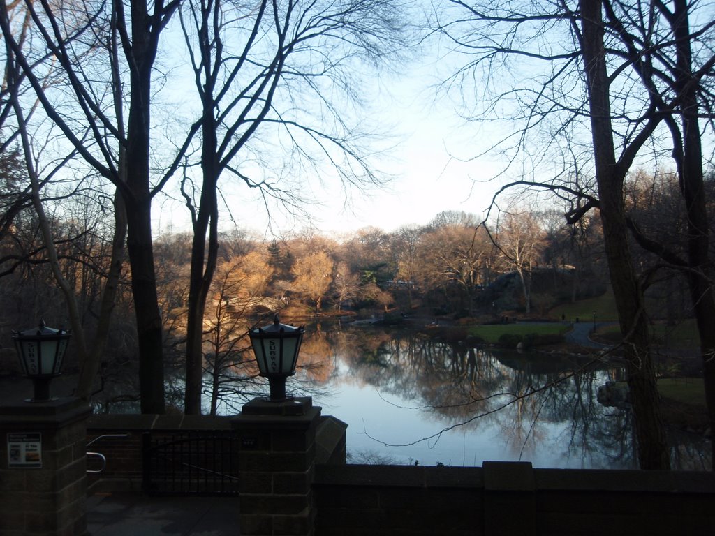 Sunny winter´s day at "The Pond" by Carlos Henrique Asse…