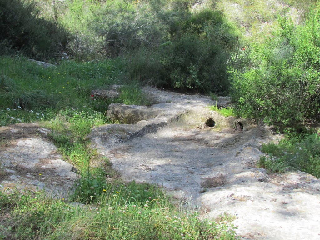 Migdal Haemek, in the Archaeological Park 2, Israel by Kobi Zilberstein