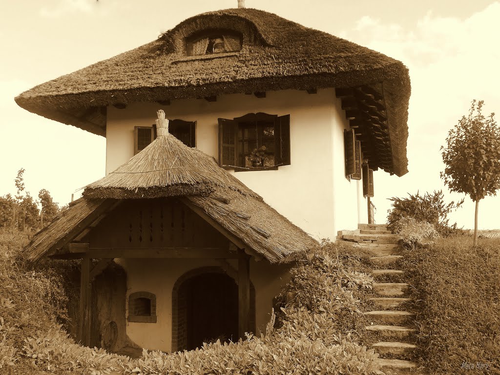 House of Göcsej - Göcseji ház by Mata Hary