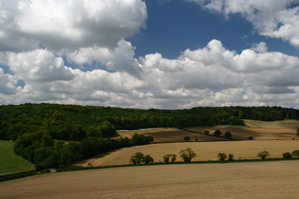 Harvest at Fingest by Tony Messenger