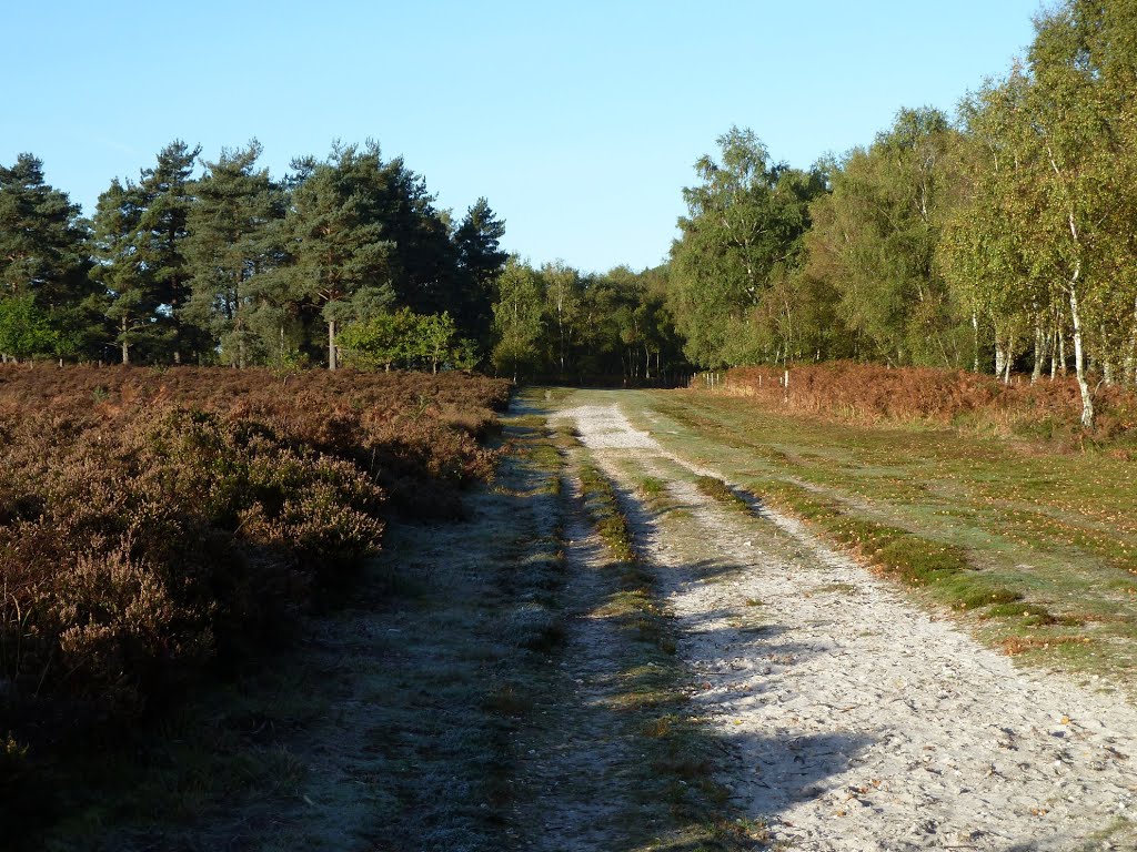 17-10-2010@08:00. Early morning sunshine on Longmoor Army Range. by RedRobbo