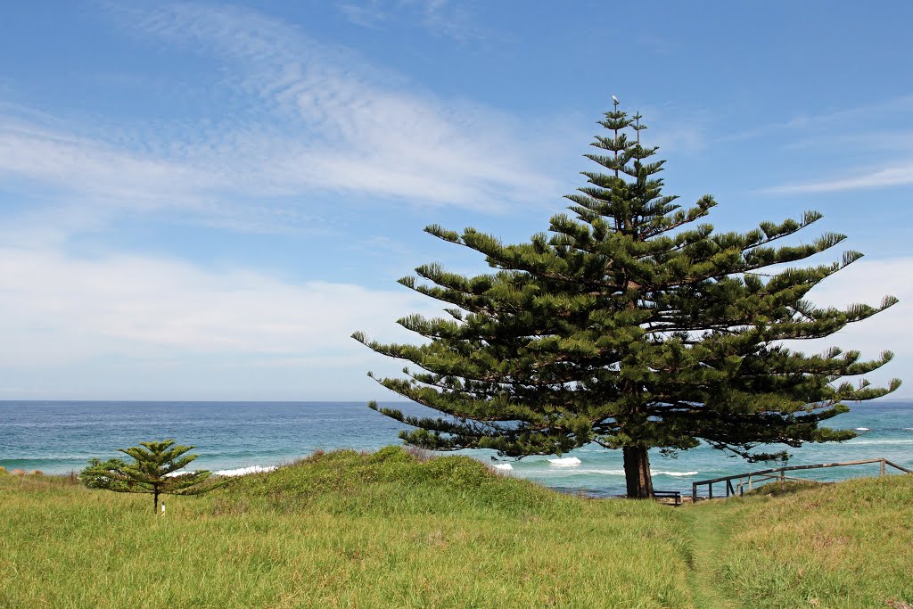 McWillam Park - Tuross Head by strasser©paul