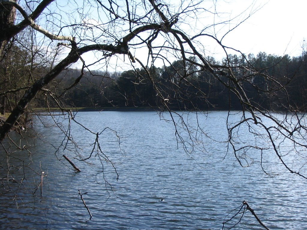 Grundy Lakes State Park by Chad_0101