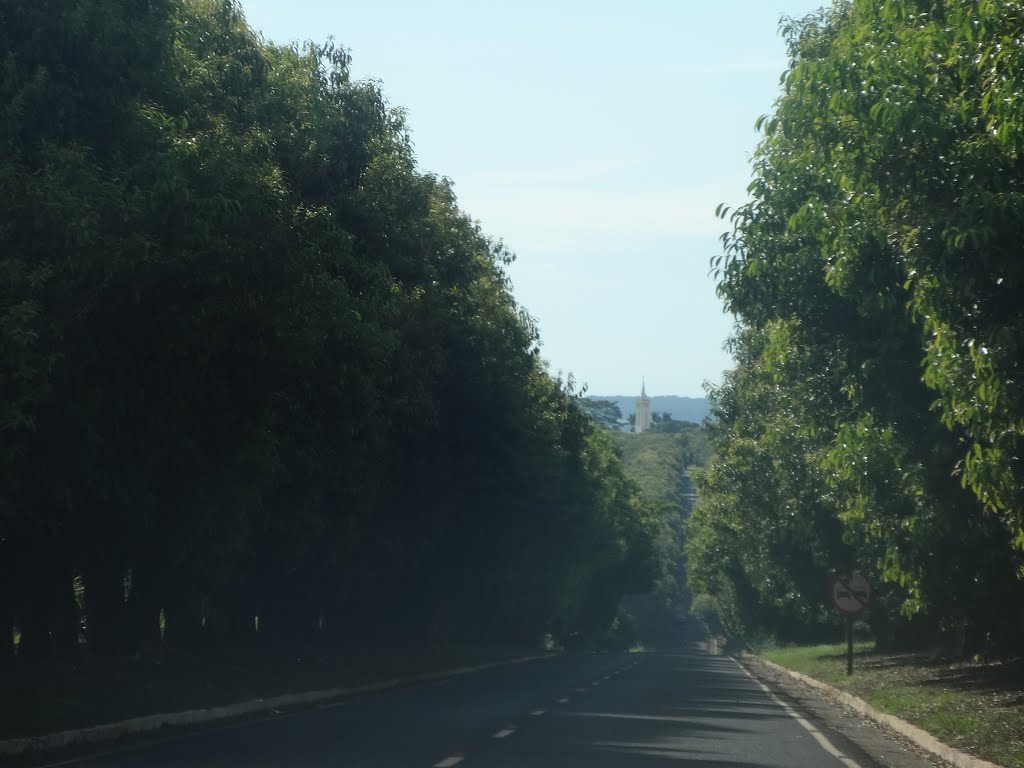 CHEGANDO EM TURIUBA-SP, MARÇO 2013 by jairo tessari