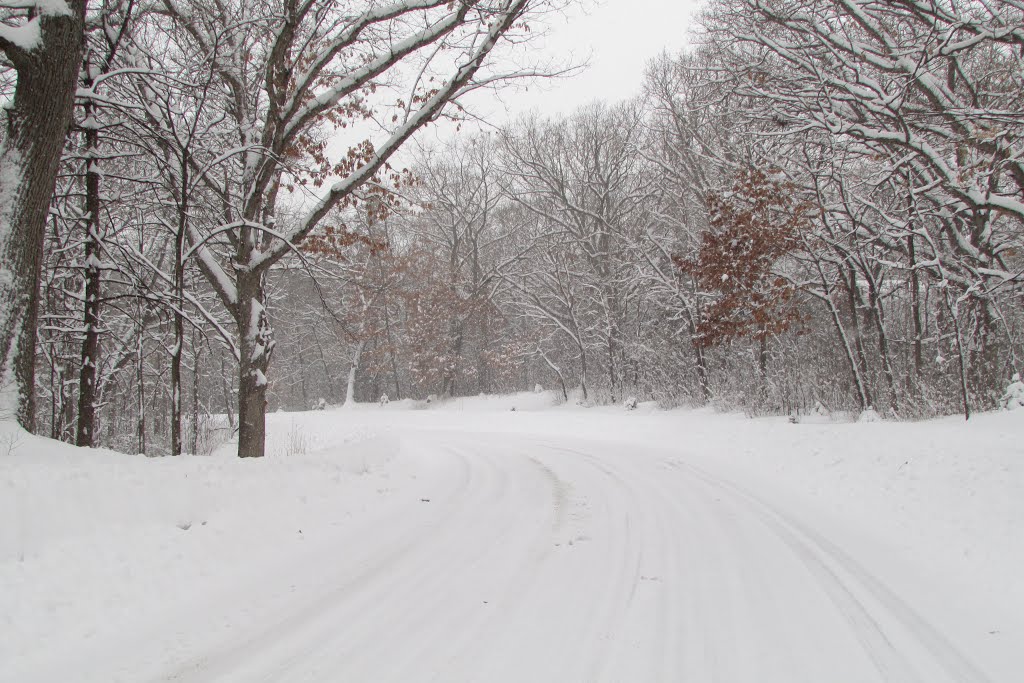 162nd St Snow Day Lakeville MN USA March 2013 by bobby hissam