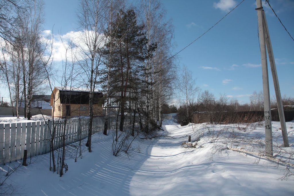 Деревня Исаково. Улица. Village Isakovo. Street by Roman A. Sergeev