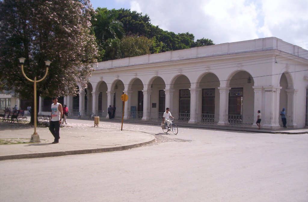 Casa de cultura (antiguo liseo) by Armando M Lopez