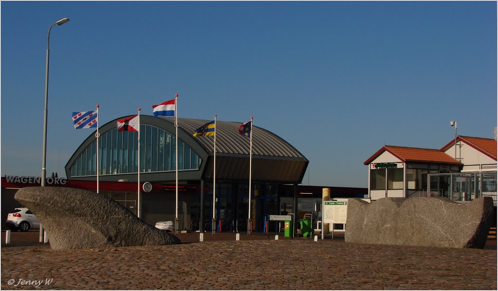 De walvis op het droge, The whale on land by JennyW