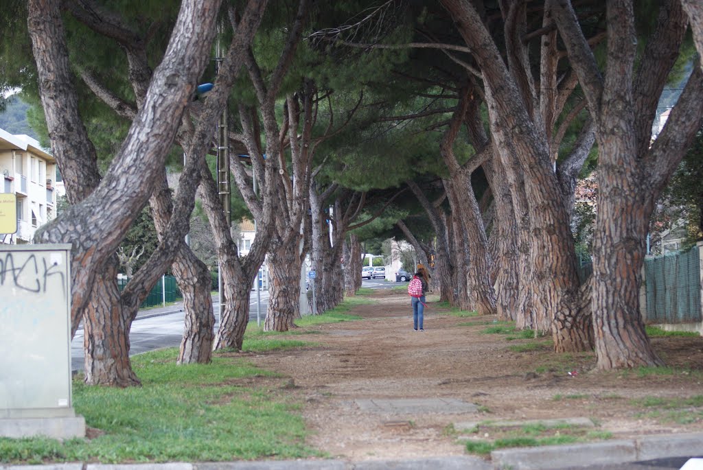 Sète - L'avenue de la source. by toledo49