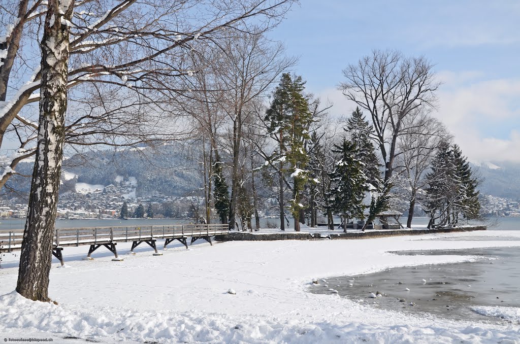 Wintertime at Lake Thun, in Thun-Dürrenast by kurt.fotosuisse