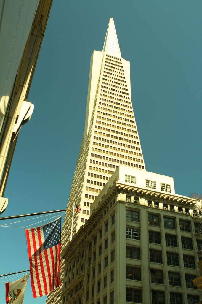 Transamerica Pyramid & American Flag by Rosencruz Sumera