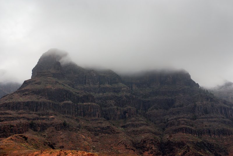 Gran Canaria by Marek Koszorek www.wild-art.eu