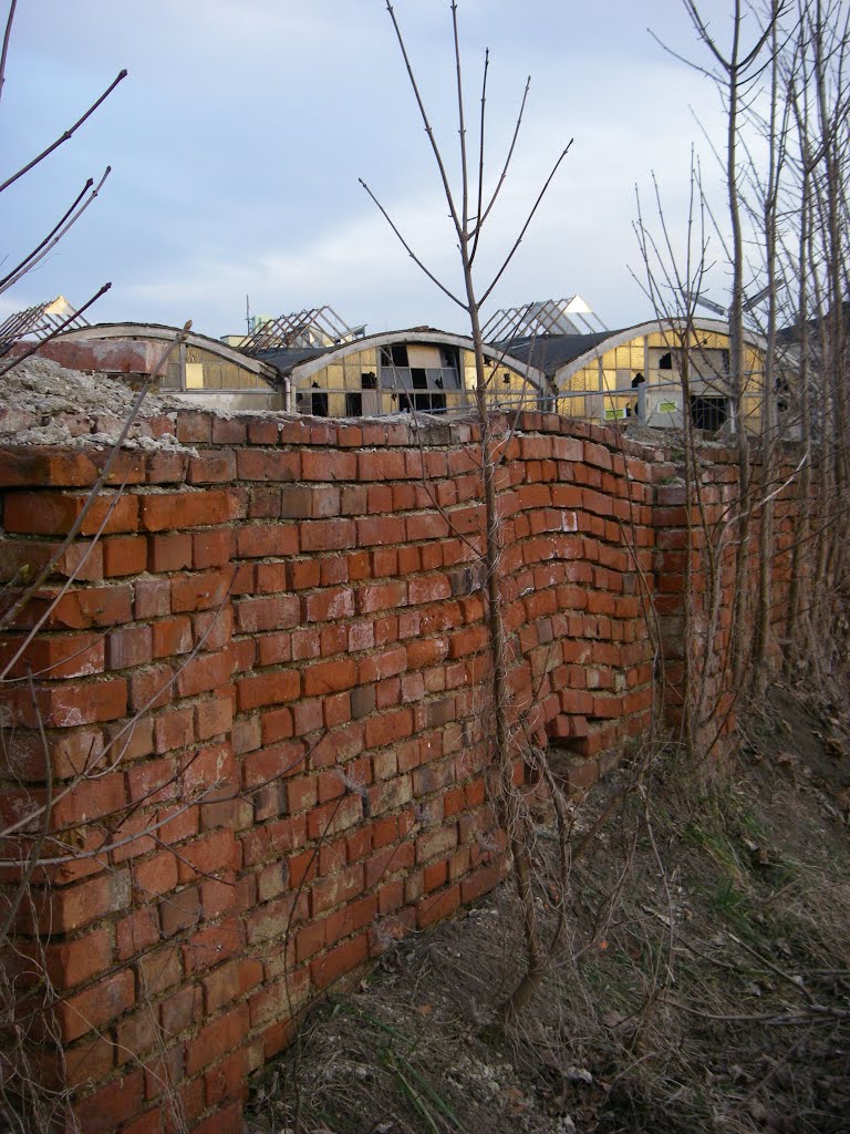 Ziegelmauer am ehemaligen Schlachthof by Donauschwimmer