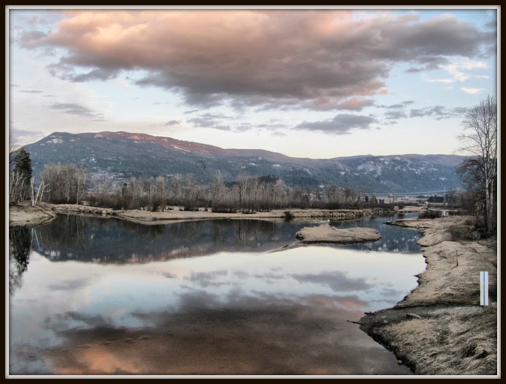 Shuswap River in Enderby, B.C. by Laurel211