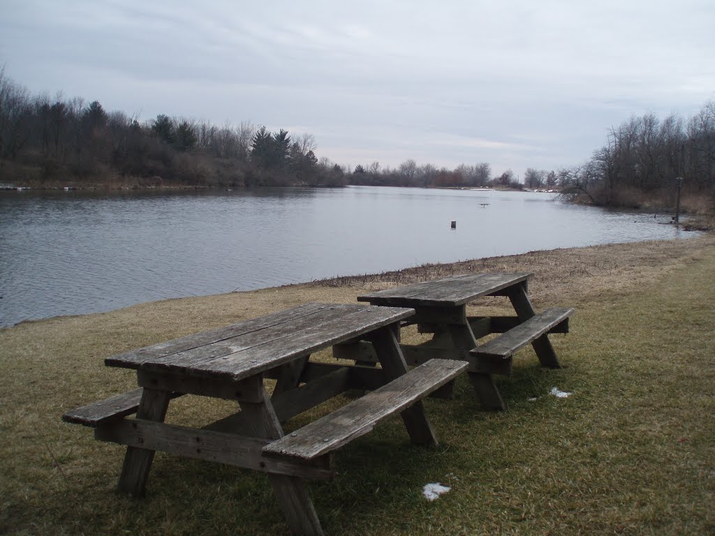 Homer Lake Forest Preserve by ScottIsSustainable