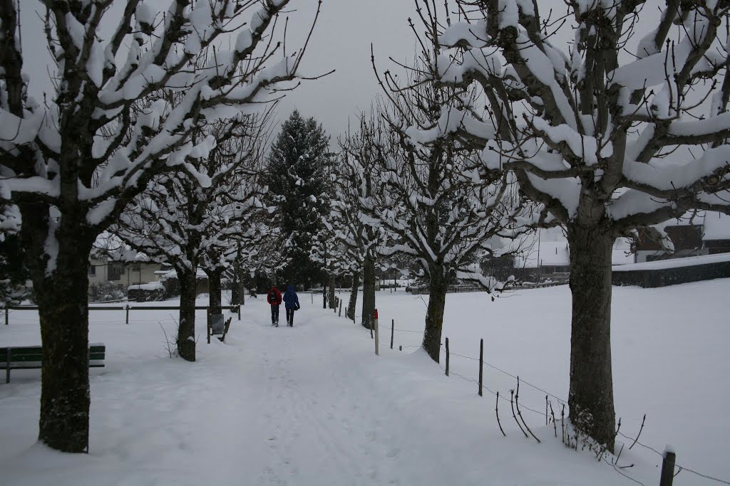 Charmey, Gruyère, Fribourg, Suisse by Hans Sterkendries